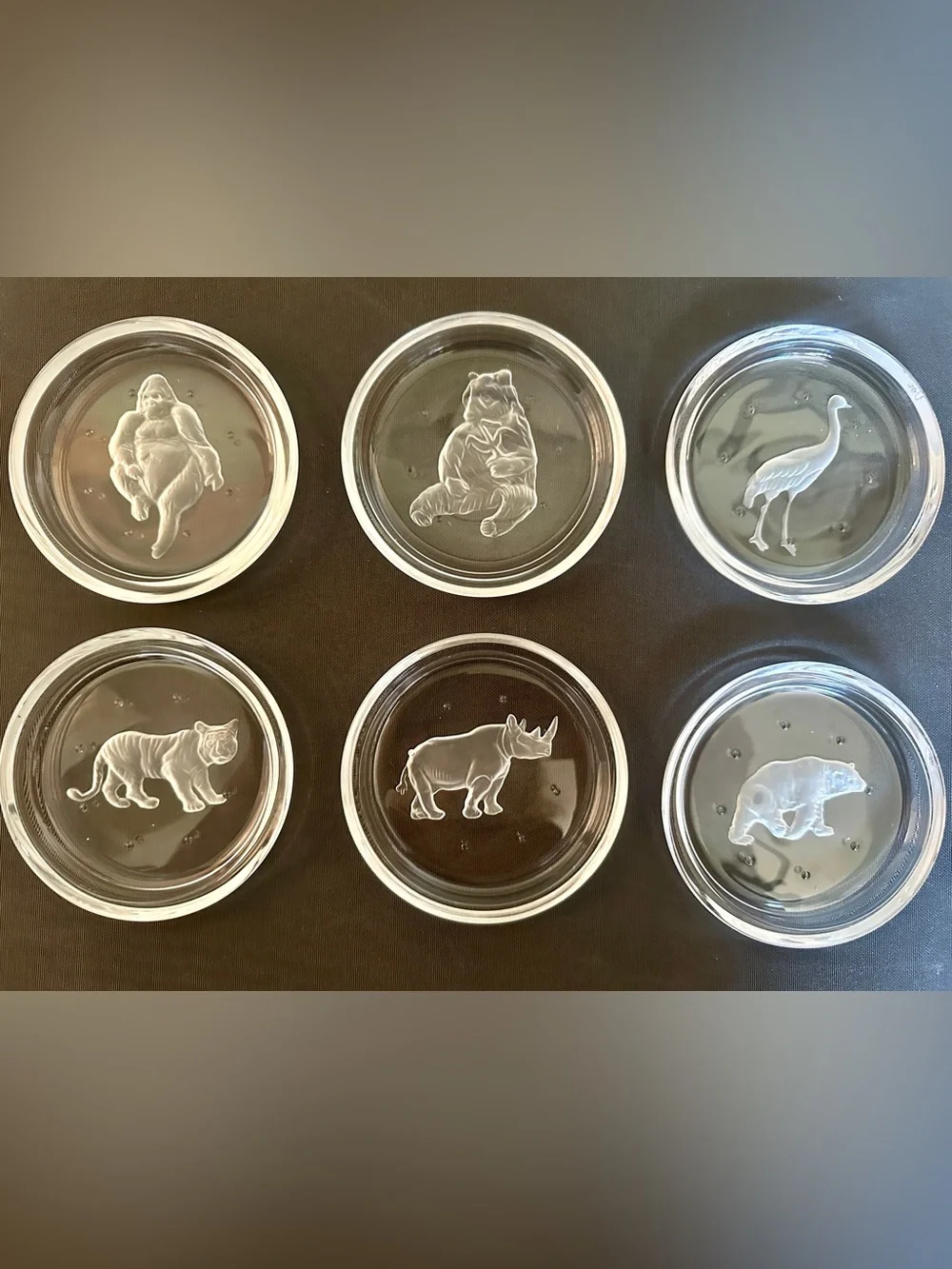 Val St Lambert Crystal Coasters Set 6 Endangered Wildlife Animals Frosted VTG